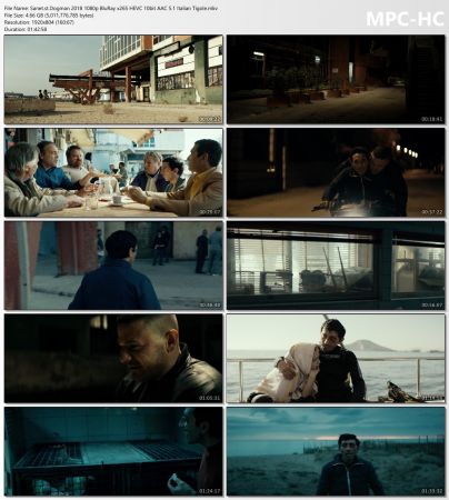 Dogman 2018 1080p BluRay x265 HEVC 10bit AAC 5.1 Italian Tigole