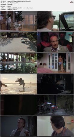 K-9 1989 1080p BluRay x264-nikt0
