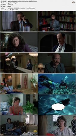 Black Widow 1987 1080p BluRay x264-SUP3R