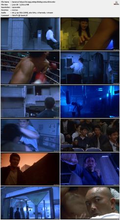 Tokyo Fist 1995 1080p BluRay x264-nikt0