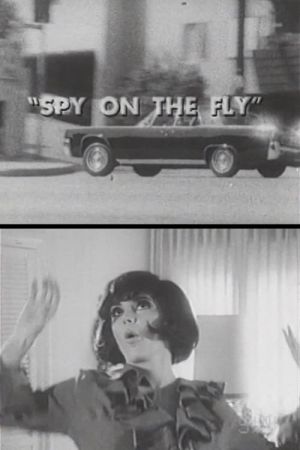 Spy on the Fly 1967 1080p BluRay x264-OFT