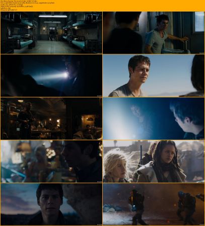 Maze Runner Trilogy 1080p BRRip x264 AC3 DiVERSiTY