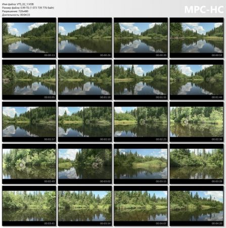 Dan Gibson's - Solitudes 25[Collection 25e Anniversaire] - Natural Beauty[DVD9] (2006)