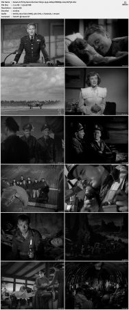 Thirty Seconds Over Tokyo 1944 1080p WEBRip x264-SUP3R
