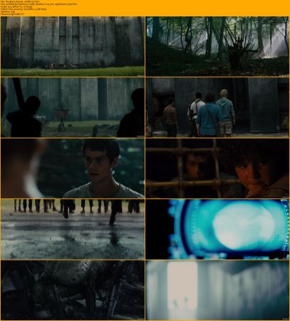 Maze Runner Trilogy 1080p BRRip x264 AC3 DiVERSiTY