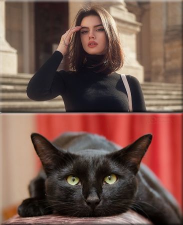 Classy Wallpapers (853)