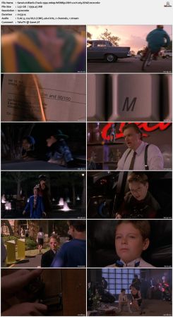 Blank Check 1994 1080p WEBRip DDP 2.0 H265-EDGE2020