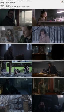 The Snowman 2017 1080p BluRay x264-SUP3R