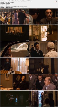 The Godfather Part II 1974 1080p BluRay x264-SUP3R
