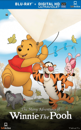 The Many Adventures of Winnie the Pooh 1977 1080p BluRay x264-nikt0