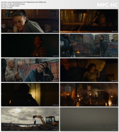 Blood Quantum 2019 1080p BluRay x265-RARBG