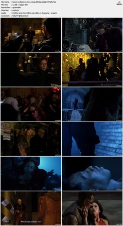 Blade II 2002 1080p BluRay x264-SUP3R