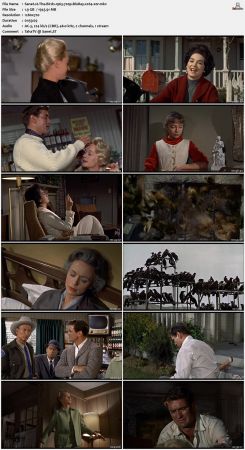 The Birds 1963 720p BluRay x264-x0r