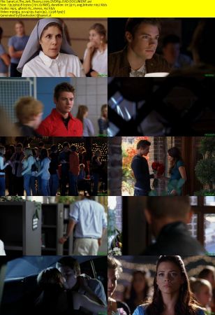 The Jerk Theory 2009 DVDRip XViD-DOCUMENT