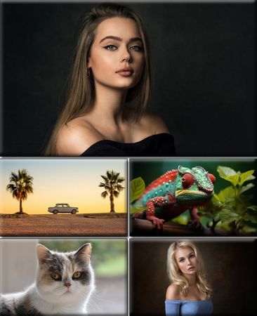 Computer Desktop Wallpapers Collection. Part (2961)