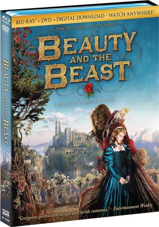 Beauty And The Beast 2014 DUBBED 1080p BluRay x265-RARBG