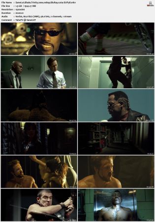 Blade Trinity 2004 1080p BluRay x264-SUP3R