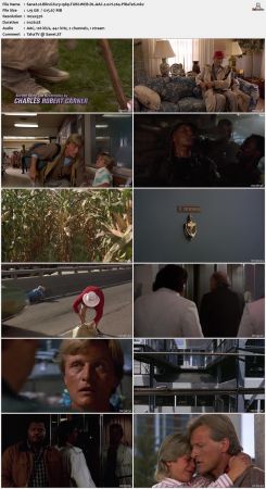 Blind Fury 1989 TUBI WEB-DL AAC 2.0 H264-PiRaTeS