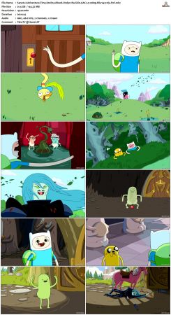 Adventure Time S02 BluRay 1080p x265-PoF