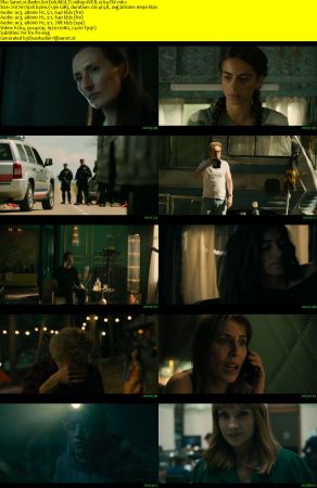 Berlin S01 MULTi 1080p WEB x264-FW