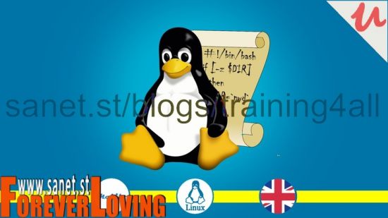 Linux BASH Scripting (course with PDF handbook)