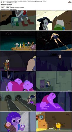 Adventure Time S06 BluRay 1080p x265-PoF
