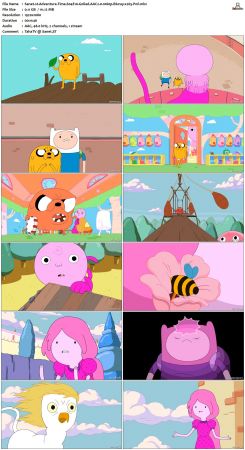 Adventure Time S04 BluRay 1080p x265-PoF