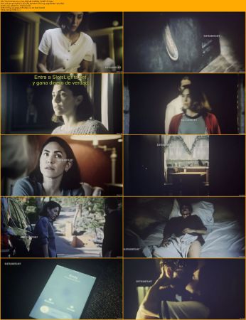 The Portrait 2023 720p HDCAM-C1NEM4