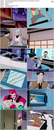Batman Beyond 1999 S03 Bluray AAC 2 0 x265-PoF