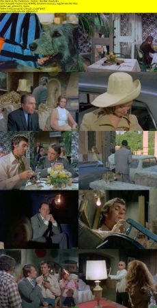 The Protectors 1972 S01 TVRip x264-i_c
