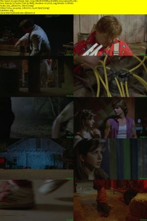 Leprechaun 1992 720p AMZN WEBRip 800MB x264-GalaxyRG