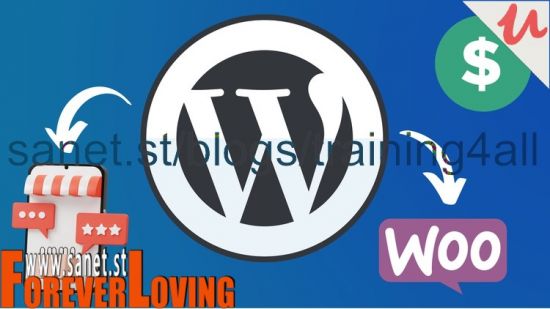 Build Profitable E-Commerce Stores with WordPress &amp; Woostify