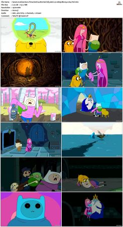 Adventure Time S02 BluRay 1080p x265-PoF