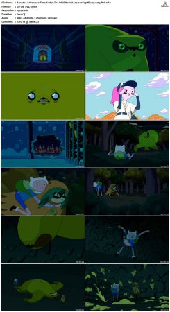 Adventure Time S10 BluRay x265-PoF