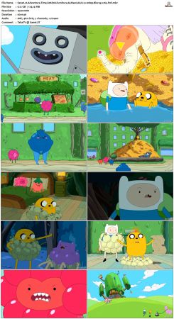 Adventure Time S06 BluRay 1080p x265-PoF