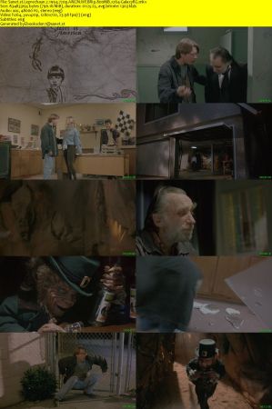 Leprechaun 2 1994 720p AMZN WEBRip 800MB x264-GalaxyRG