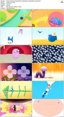 Adventure Time S06 BluRay 1080p x265-PoF