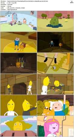 Adventure Time S05 BluRay 1080p x265-PoF