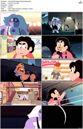 Steven Universe S04 DVDRip x264-PFa