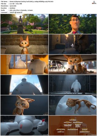Baymax S01 WEBRip AAC5 1 x265-PoF