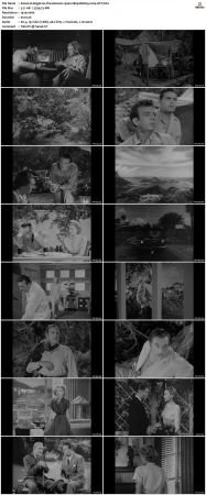 Angel on the Amazon 1948 1080p BluRay x264-OFT