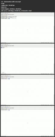 Bash Scripting 1-Hour Crash Course: Write Scripts Today!