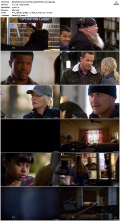 Chase S01 720p HDTV x264 Fugi