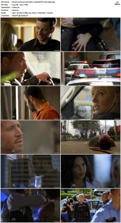 Chase S01 720p HDTV x264 Fugi