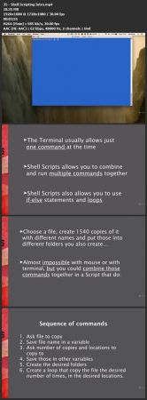 Bash Shell Scripting: Crash Course For Beginners