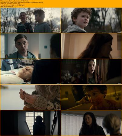 Blood 2022 BDRip x264-CAUSTiC