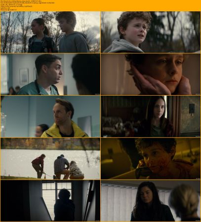 Blood 2022 1080p BluRay x264-CAUSTiC