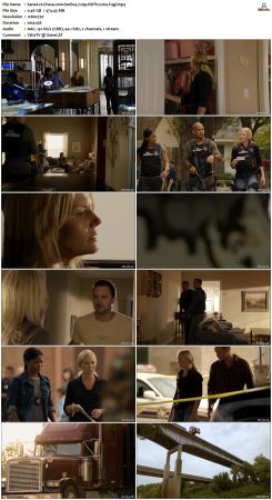 Chase S01 720p HDTV x264 Fugi