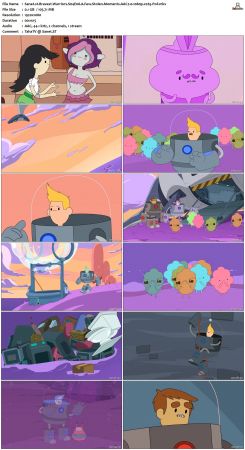 Bravest Warriors S04 WEBRip 1080p x265-PoF