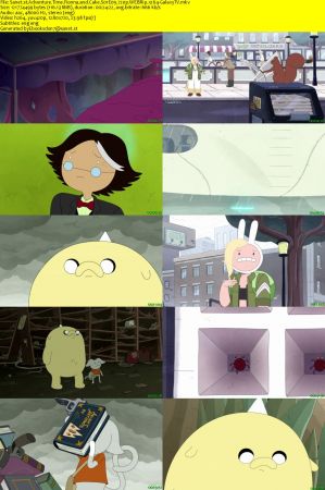Adventure Time Fionna and Cake S01 720p WEBRip x264-GalaxyTV